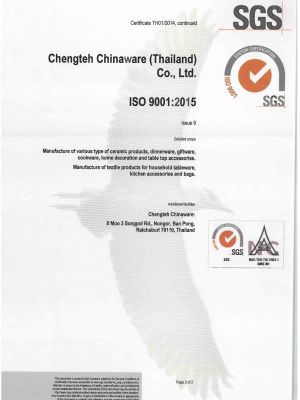 2ISO9001 NAC CCT Page 2